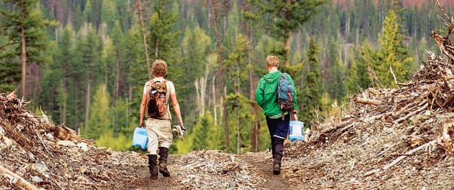 Into the wild