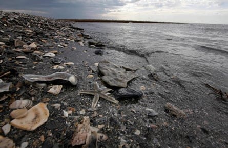 100430_oilspill