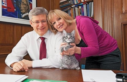 A feline fixation