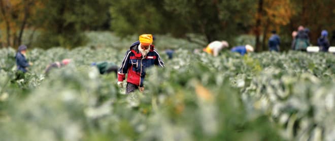 A disposable workforce