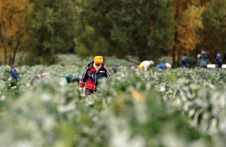 A disposable workforce