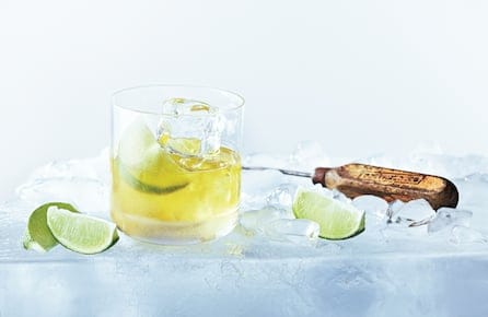 gin-featured