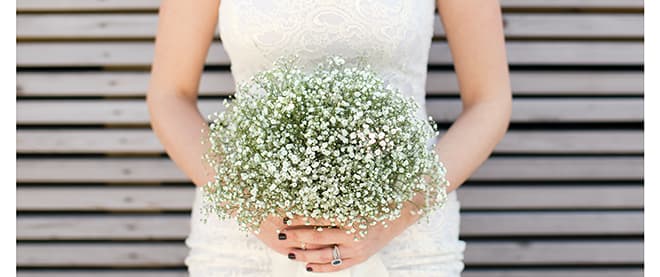Baby’s breath elbows its way into bouquets