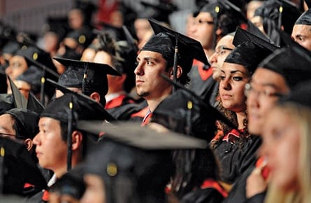 Are Ph.D.s an academic dead zone?