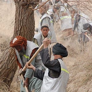 Afghan Cda Canals 20080307