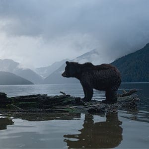 MAC43_GRIZZLY_HUNT_FEATURE01