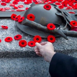 Remembrance Day Ottawa 20141111