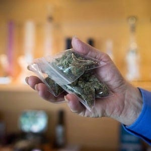 A bag of marijuana is held up at a medical marijuana dispensary in Vancouver on Friday May 1, 2015. The City of Vancouver has become the first in Canada to regulate illegal marijuana dispensaries, despite strong warnings from the federal government. THE CANADIAN PRESS/Darryl Dyck