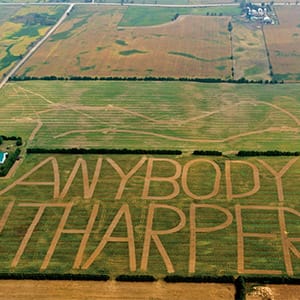 An aerial view of a Canadian farm in Brantford with an "Anybody but Harper!!" sign carved into the field. (Geoff Grenville)
