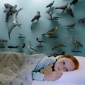 Young Girl Sleeping --- Image by © HBSS/Corbis