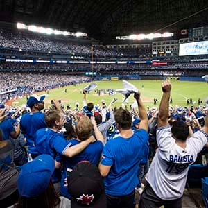 Fans celebrate following the Toronto Blue Jays series win over the Texas Rangers during game five American League Division Series baseball action in Toronto on Wednesday, October 14, 2015. (Darren Calabrese/CP)