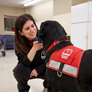 Guide Dog trainer. (Photograph by Jessica Darmanin)