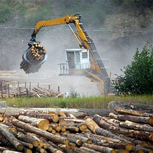 A machine places freshly cut trees into piles before transport to the West Fraser Timber Co. sawmill in Quesnel, British Columbia, Canada, on Thursday, July 11, 2013. West Fraser Timber Co., the largest lumber producer in North America, had a sustainable rise in price, demand volatility, and profits within the past year. (Ben Nelms/Bloomberg/Getty Images)