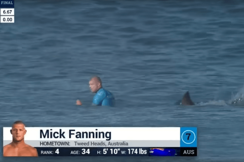 Mick Fanning screengrab 822x548