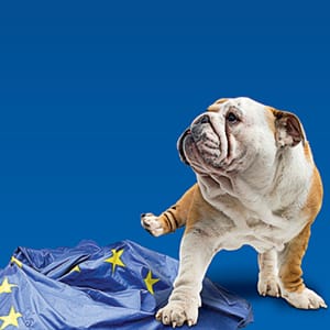 MAC28_BREXIT_FEATURE