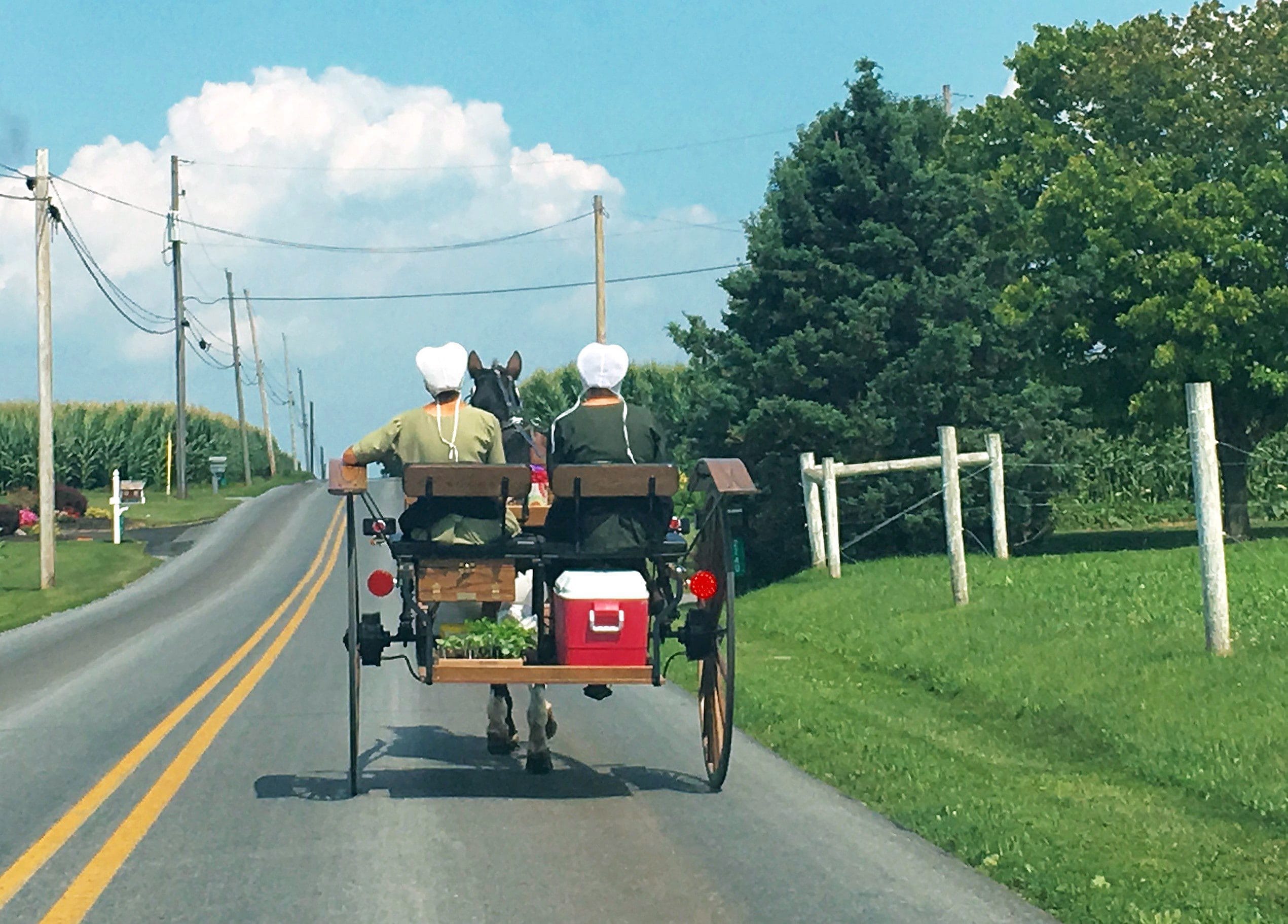 Young women from Pennsylvania's Amish community ride a horse and carriage on Saturday, July 23, 2016, through Lancaster County. On the outskirts of a town called Intercourse, an entire community of people has survived this election season with its eardrums' chastity never once penetrated by the sound of Donald Trump's voice. THE CANADIAN PRESS/ Alex Panetta