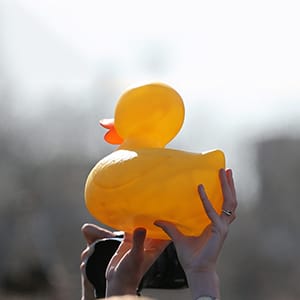 MOSCOW, RUSSIA - MARCH 26, 2017: A yellow rubber duck during Russian opposition activist Alexei Navalny's anti-corruption rally in Pushkin Square. The event has not been authorized by the Moscow Government. Dmitry Serebryakov/TASS (Photo by Dmitry SerebryakovGetty Images)