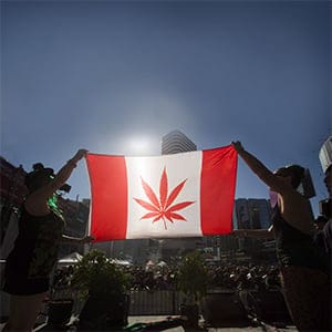 marijuana leaf Canadian flag