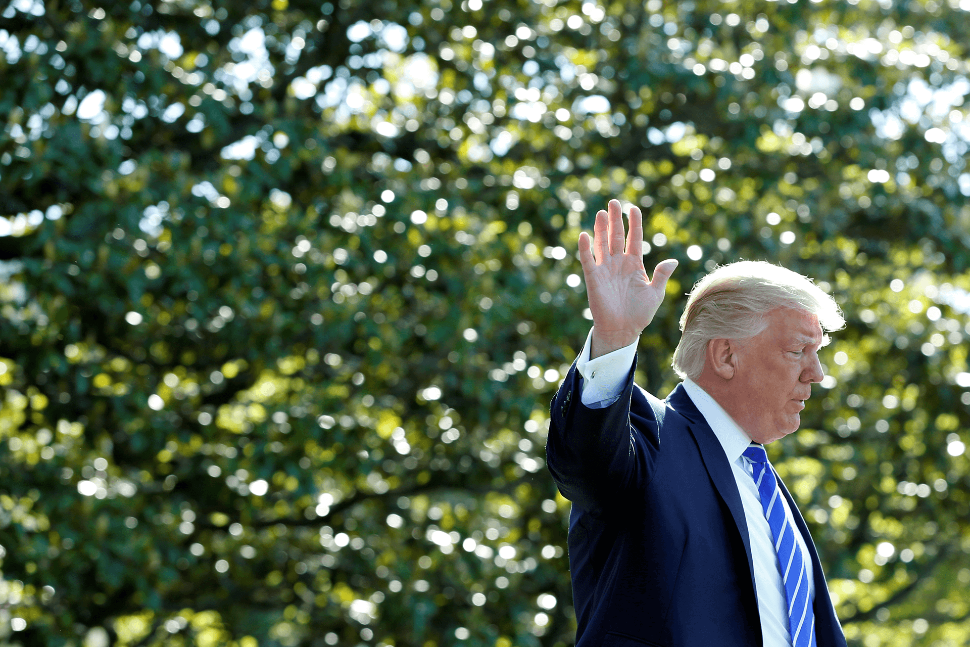 Trump wave