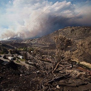 A burnt tree is seen in the foreground above the remains of mobile homes destroyed by wildfire in Boston Flats as a fire burns on a mountain near Ashcroft, B.C., on Sunday, July 9, 2017. B.C. government officials now estimate that 7,000 people have been evacuated from their homes due to wildfires burning in the province. (Darryl Dyck/CP)