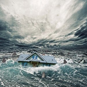 (Photo illustration by Stephen Gregory and Heshmat Saberi)