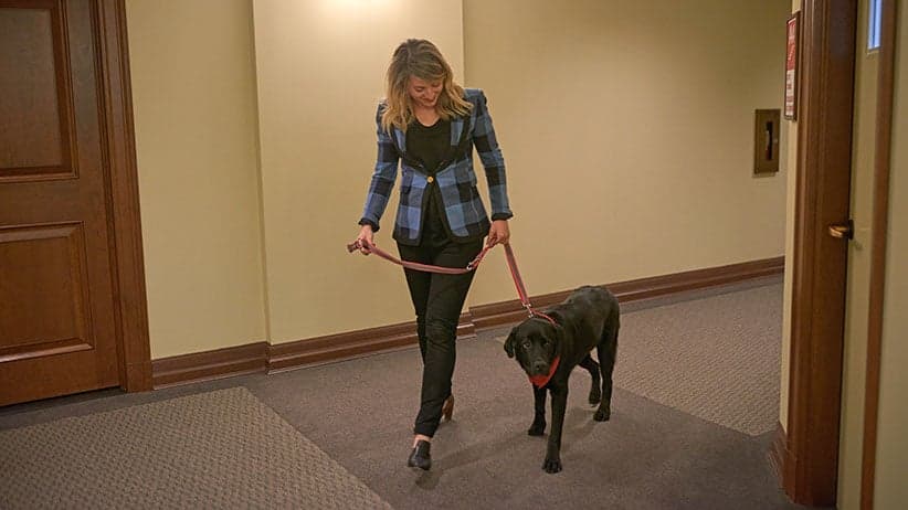 Minister Melanie Joly with her foster dog Naboo at the Justice Building in Ottawa. (Photograph by Jessica Deeks)