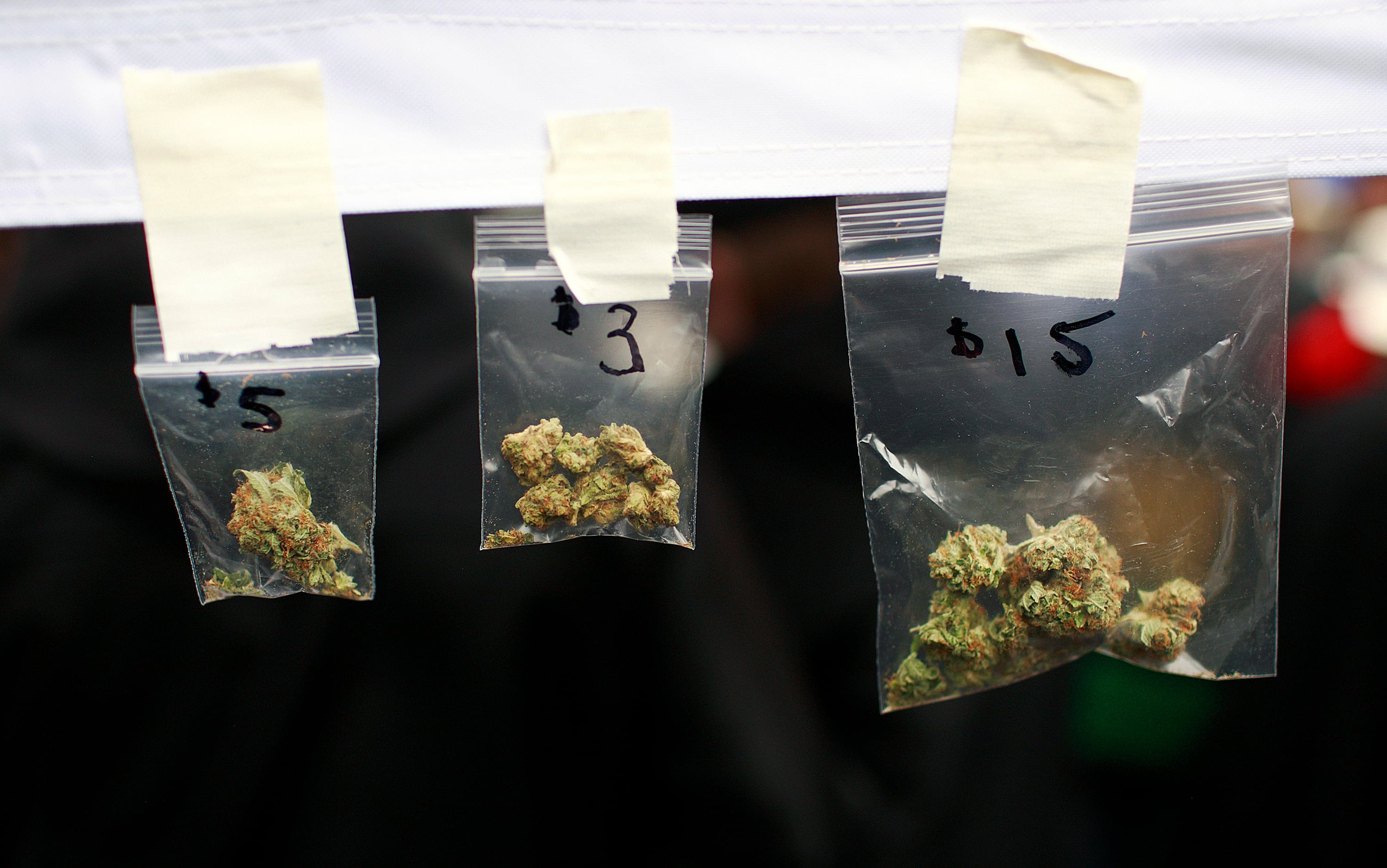 Marijuana in baggies is displayed for sale as thousands of enthusiasts gather to celebrate the 19th anniversary of 4/20 April 20, 2014 at the art gallery in downtown Vancouver, B.C. (Photo by Jeff Vinnick/Getty Images)