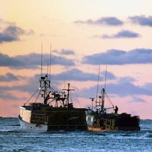Fishing boats loaded with lobster traps head from Eastern Passage, N.S. on Tuesday, November 27, 2012 as the lobster season in southwestern Nova Scotia gets underway. There is growing tension between lobster fishermen in southwestern Nova Scotia over the Indigenous ceremonial and food fisheries. THE CANADIAN PRESS/Andrew Vaughan
