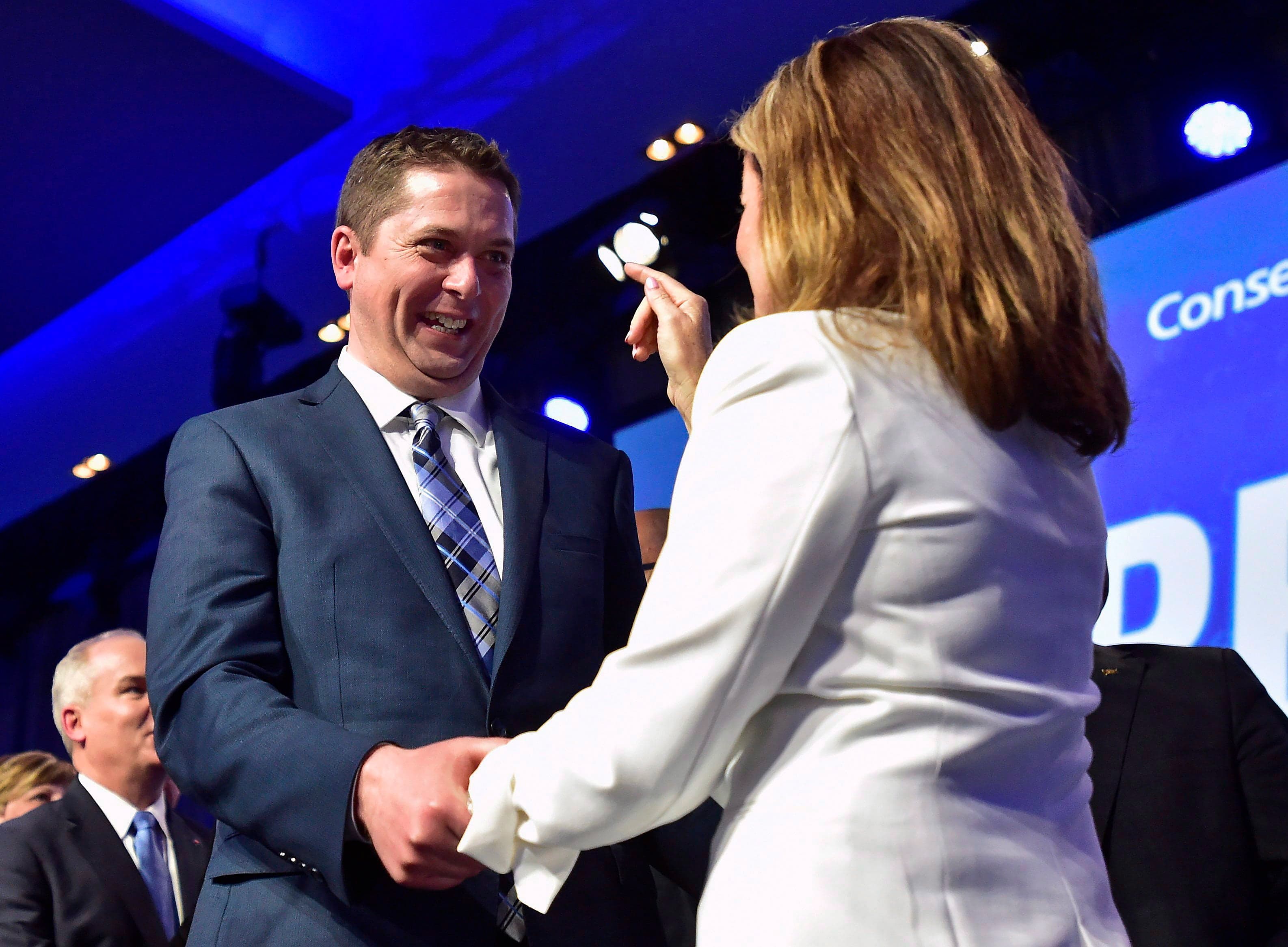 Who wants to be Conservative leader?
