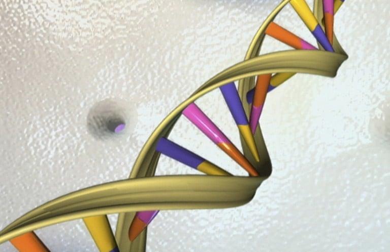 <p>A DNA double helix is seen in an undated artist&#8217;s illustration released by the National Human Genome Research Institute to Reuters on May 15, 2012.Human Genome Research Institute/Handout </p>
