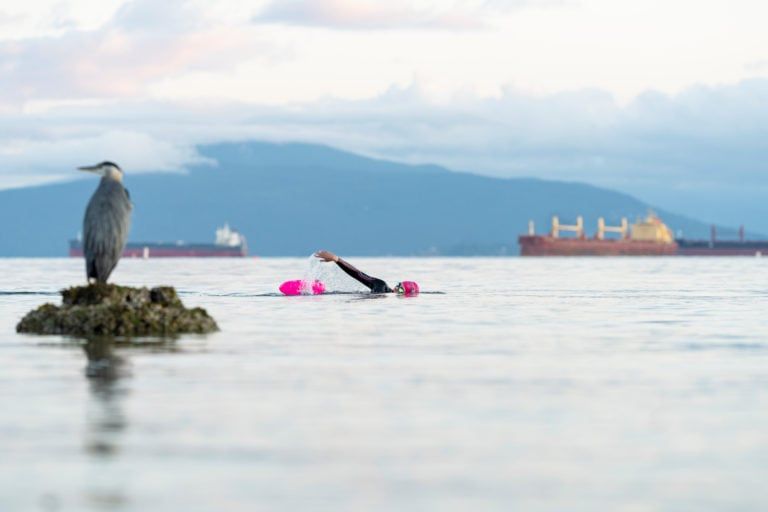With pools closed some swimmers have turned to open water swimming (Photo by Jimmy Jeong)