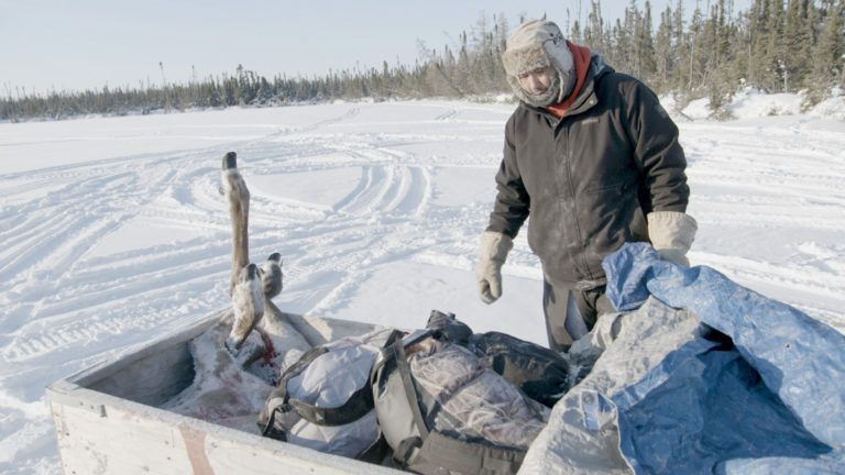 Kyle Linklater packing a hunted caribou onto a sled near Peawanuck, ON, December 16, 2019. (Courtesy of Daron Donahue/ Human Rights Watch)