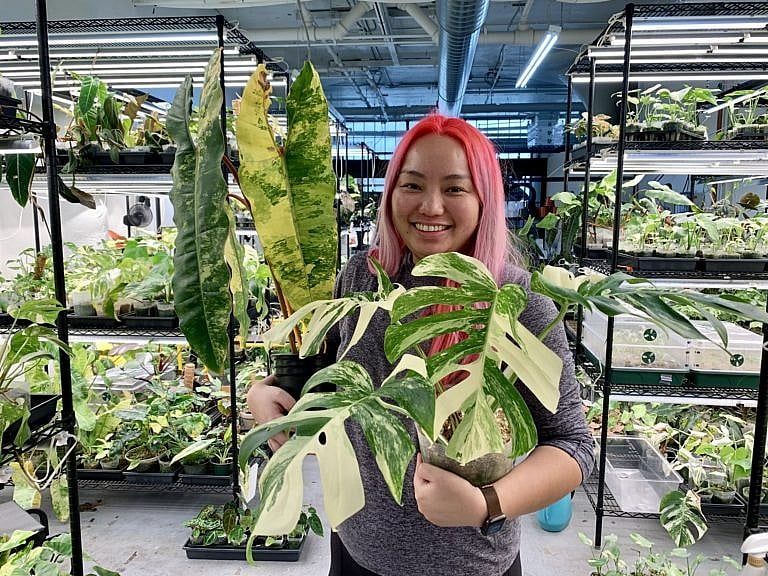 Jocelyn Ho is the Rare Plant Fairy. (Photos courtesy Rare Plant Fairy)