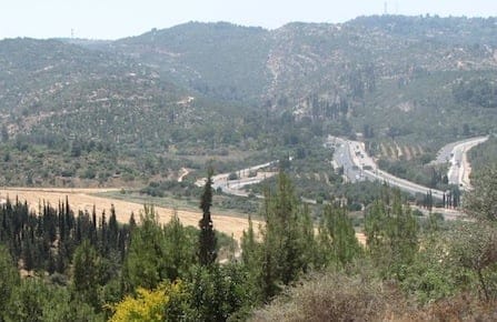 Canada Park, Israel. (Yuval Mendelson via PikiWiki Israel)