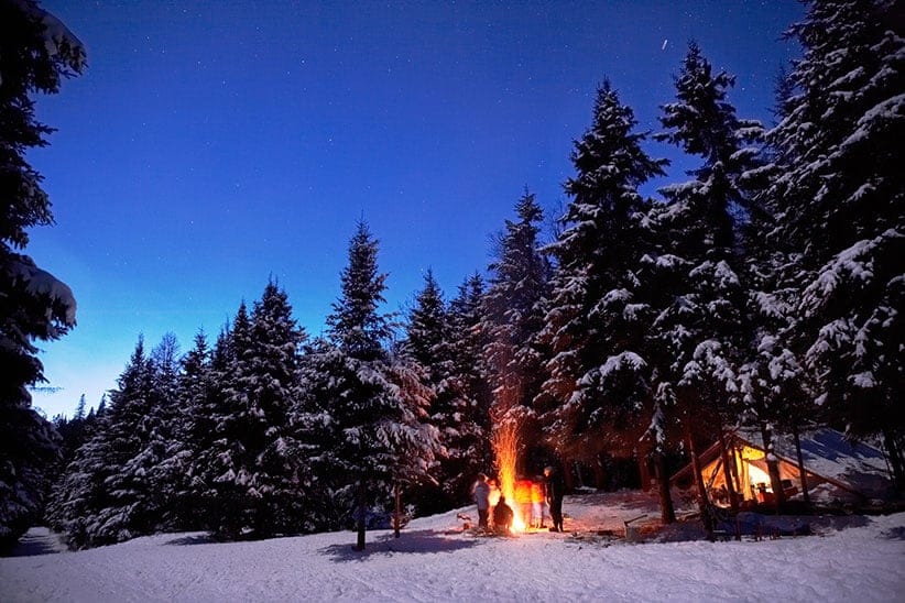 Dog Sledding at the Algonquin Provincial Park. (Sandy Nicholson/Redux)