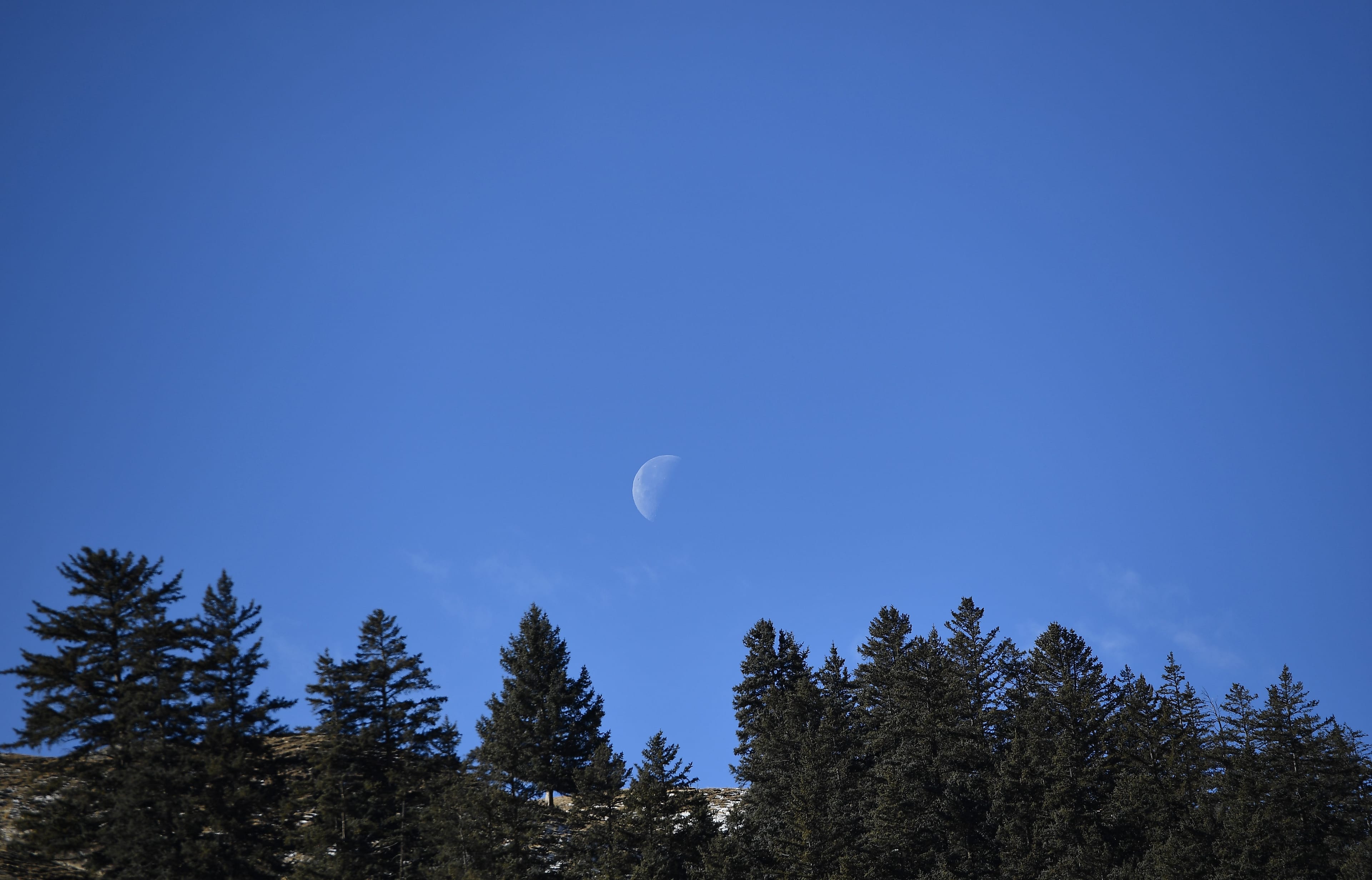 The moon rises above the forest in Qilian County, northwest China's Qinghai Province, Dec. 8, 2020. (Xinhua/Zhang Hongxiang via Getty Images)