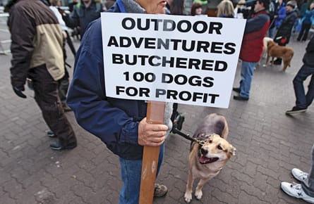 Doggone mystery