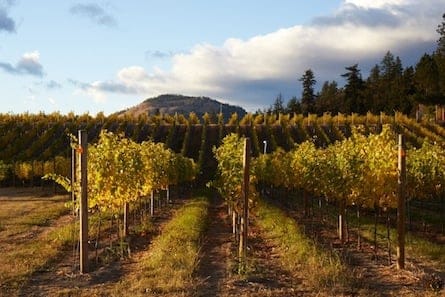 Okanagan wine country