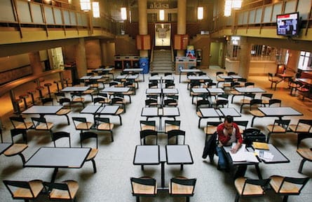 Student studies at York University