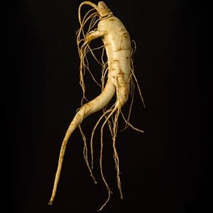 Ginseng: from lore to the lab. We follow the story of ginseng, a root used as a remedy for everything from fatigue to low sex drive for thousands of years.