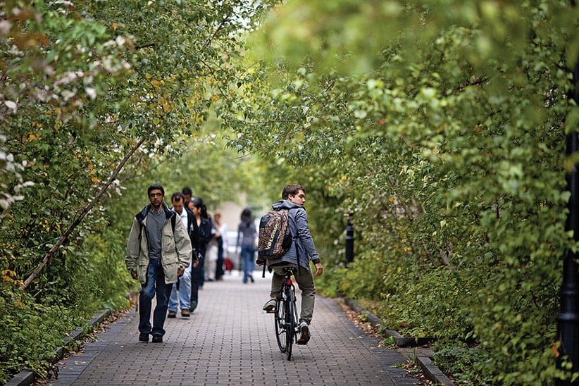 Campus life at the University of Toronto. (Photograph by Andrew Tolson)