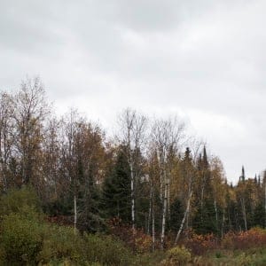 Jones Road, the winding route to Grassy Narrows, Ontario, with the Lount Lake Road turn on the left. (Photograph by Nick Iwanyshyn)