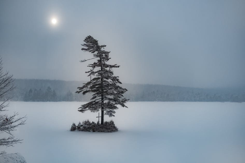 A sunny winter day on Lac Brompton turned into a beautiful battle between sun, snow and wind as strong gust of wind lifted the powder off the lake and created this ghostly image of a tree reaching for its source of life. (Photograph by Alexander Kravec)