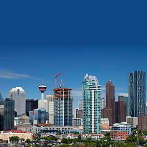 Construction cranes at work in the downtown area of Calgary, Alberta on June 20, 2014. (Larry MacDougal/CP)