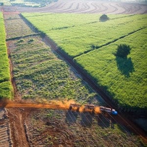 Aerial view of plowed land for sugarcane plantation near Ribeirao Preto in Sao Paulo State, Brazil. (J.R. Ripper/LightRocket/Getty Images)