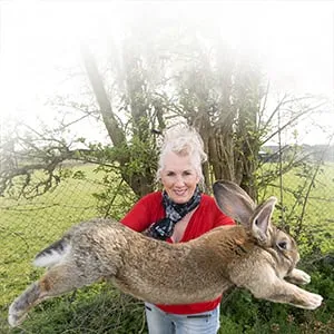Annette Edwards From Stoulton Worcestershire Who Has A Champion Giant Rabbit Darius And His Son Jeff Who Is Catching Up Fast.
United Airlines is facing another PR disaster after what could have become the world's largest rabbit died yesterday (25 April) on one of their flights. 10-month-old continental giant rabbit Simon, who measured a whopping three foot, died in the cargo hold of a United Airlines Boeing 767 while travelling from Heathrow Airport to Chicago. Simon was expected to grow to be the world's biggest rabbit after his father Darius grew to 4ft 4in (1.32m). (Mcfadden/ANL/REX/Shutterstock/CP)