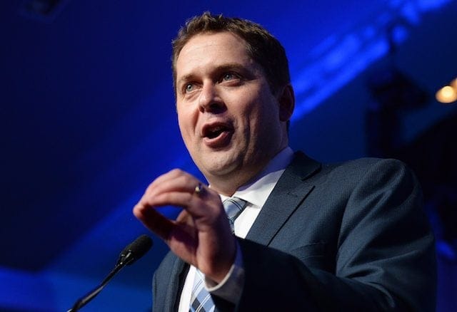 Andrew Scheer speaks after being elected the new leader of the federal Conservative party at the federal Conservative leadership convention in Toronto on Saturday, May 27, 2017. THE CANADIAN PRESS/Frank Gunn