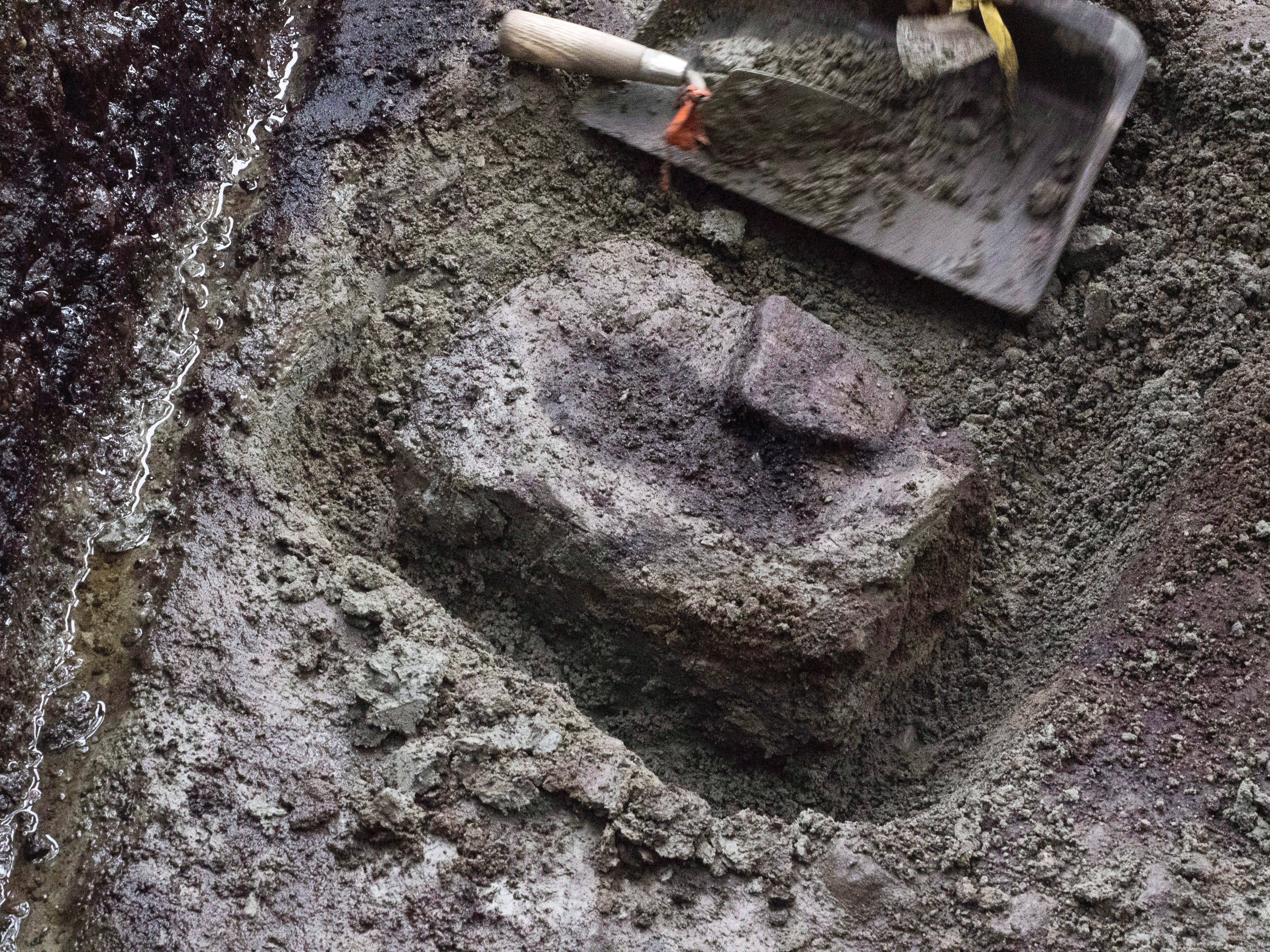 A section of soil where the impressions of human footprints buried at a shoreline archaeological site were discovered by researchers on Calvert Island, British Columbia, Canada. Charcoal found with the prints has been radiocarbon dated to 13,200 years before present, making them likely candidates for the oldest footprints ever found. (Joanne McSporran/CP)