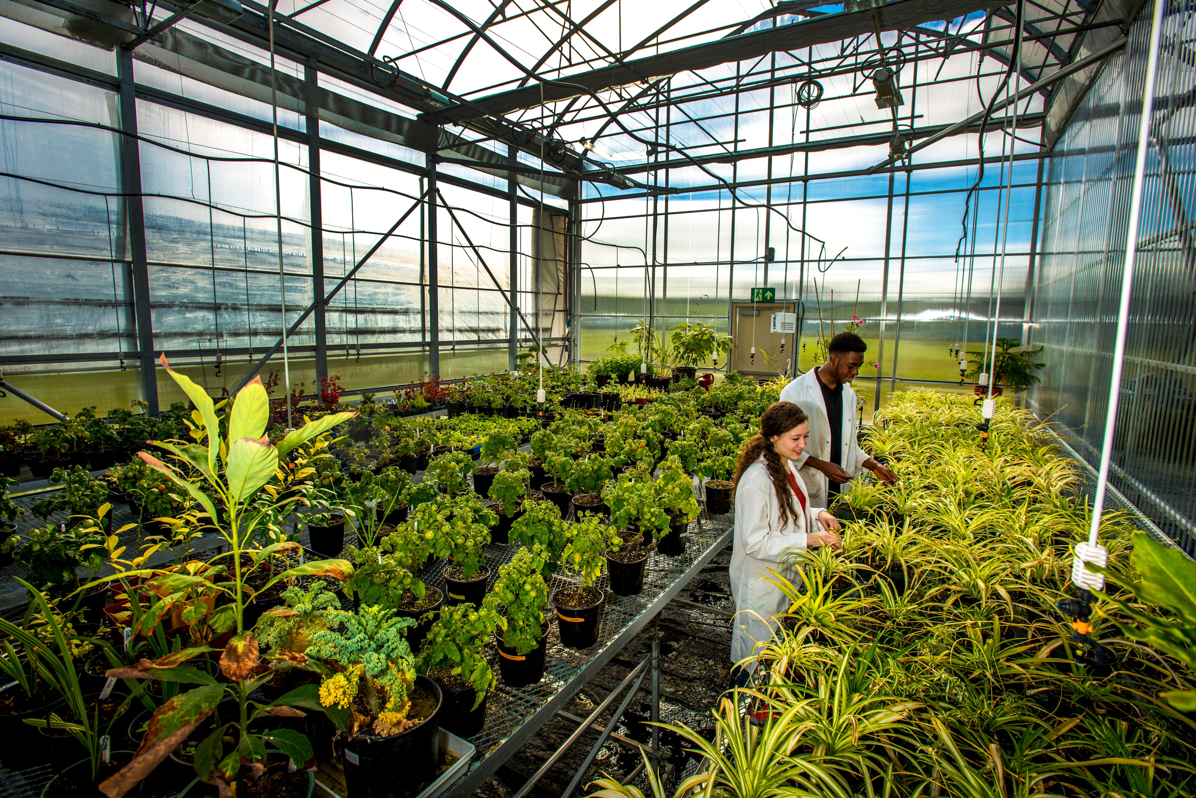(Dave Reyno/Universite Sainte-Anne)