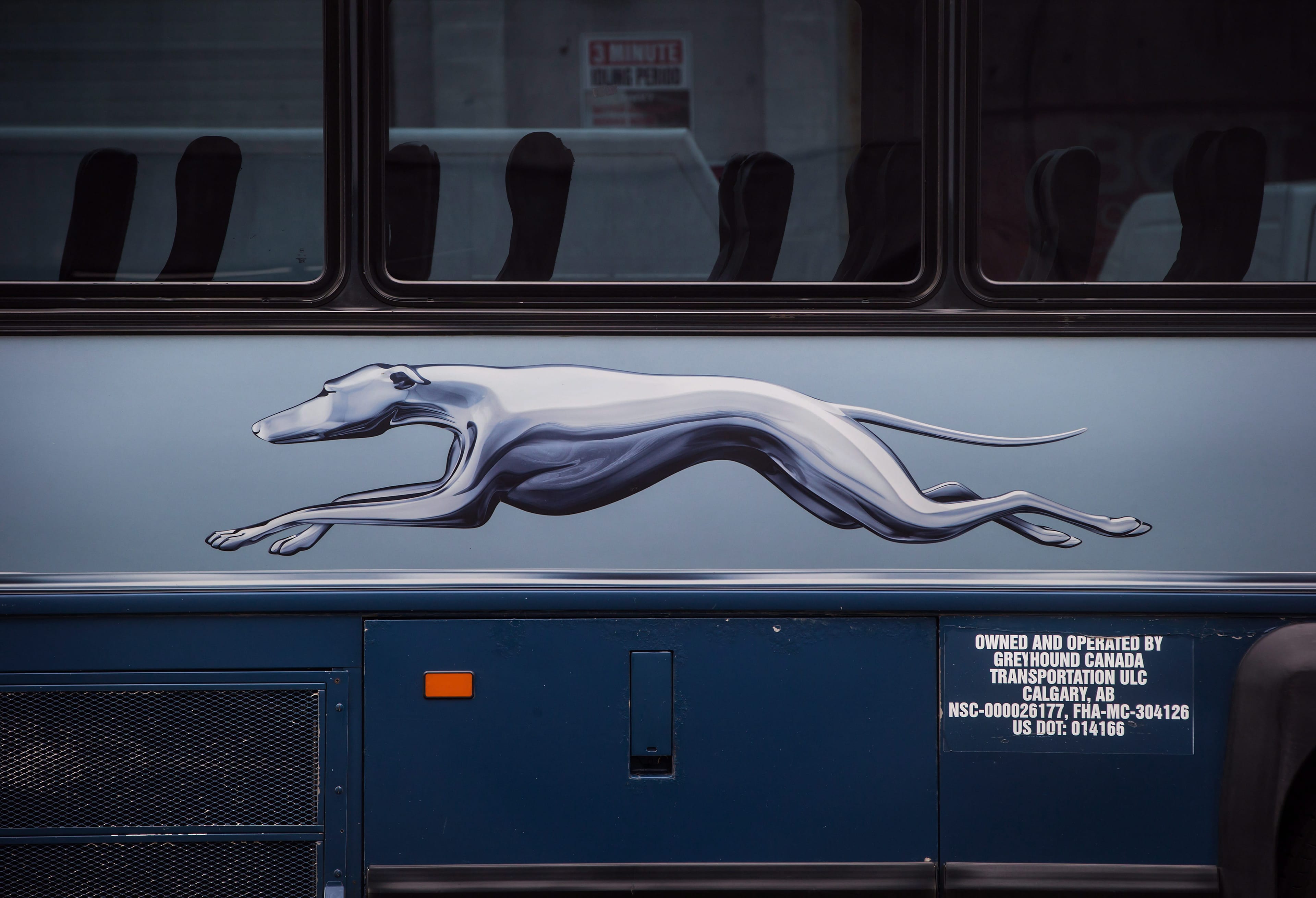 The Greyhound logo is seen on one of the company's buses, in Vancouver, on Monday July 9, 2018. (Darryl Dyck/CP)